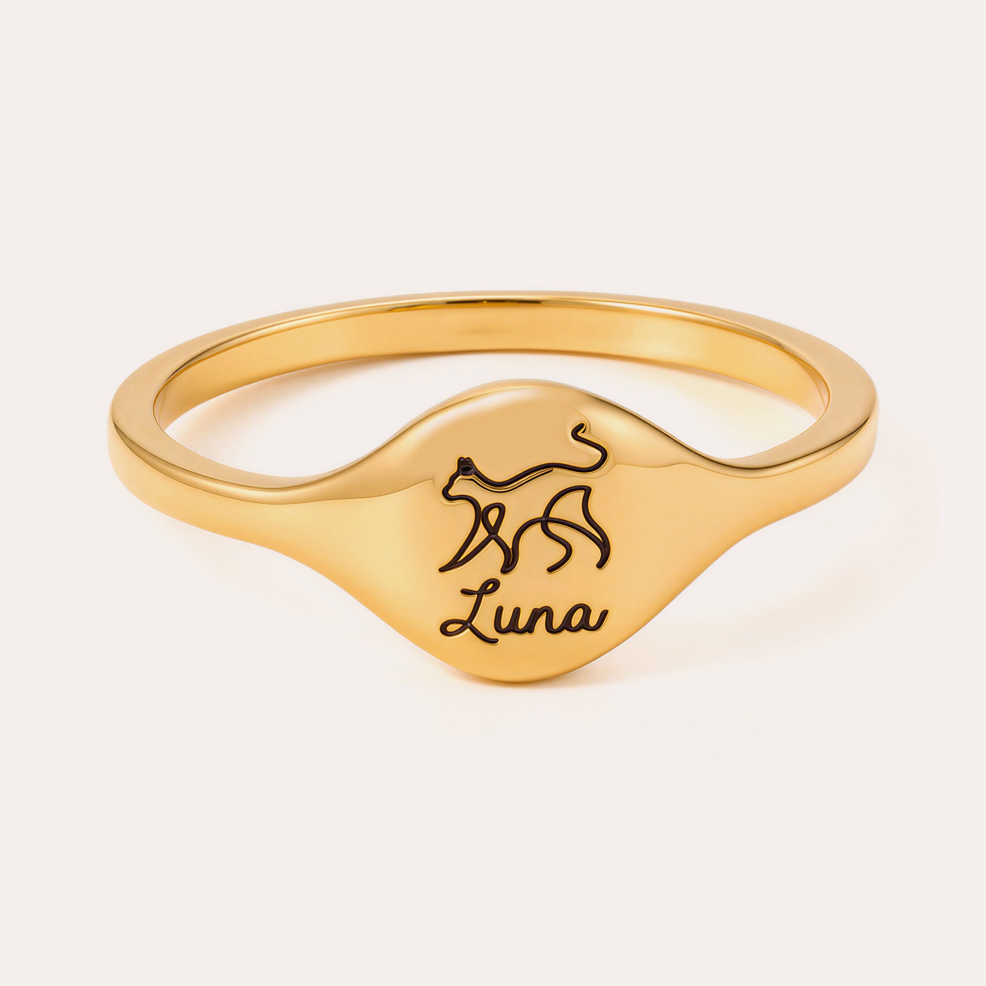 Personalized Pet Name Signet Ring for Women – Custom Pet Silhouette Engraved Jewelry Gift for Her